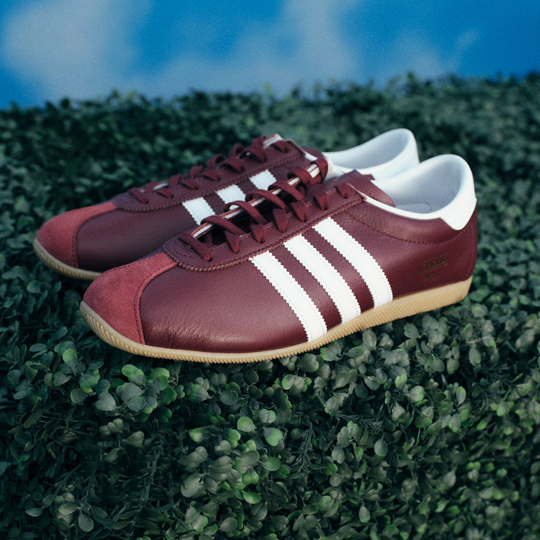 Burgundy sneakers with white stripes placed on a green hedge, against a blue sky background.