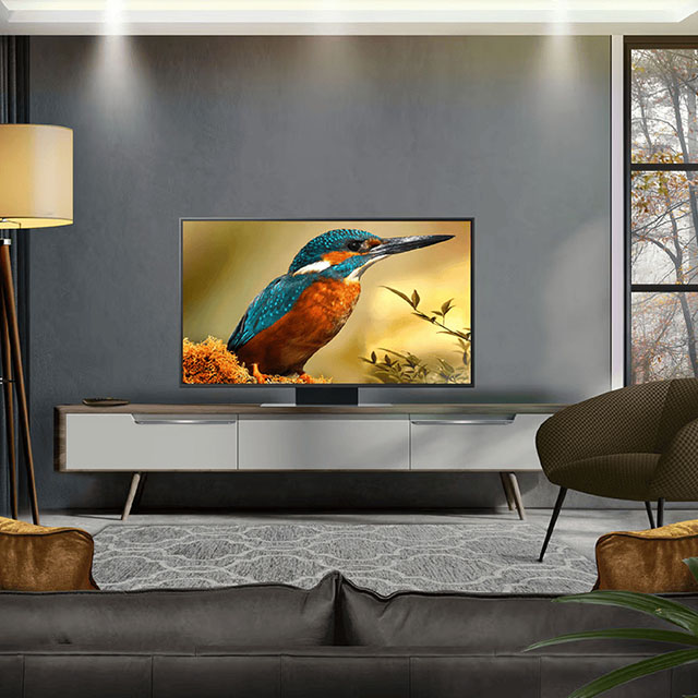 Modern living room with a TV displaying a vibrant kingfisher. Neutral tones and a view of trees through large windows.