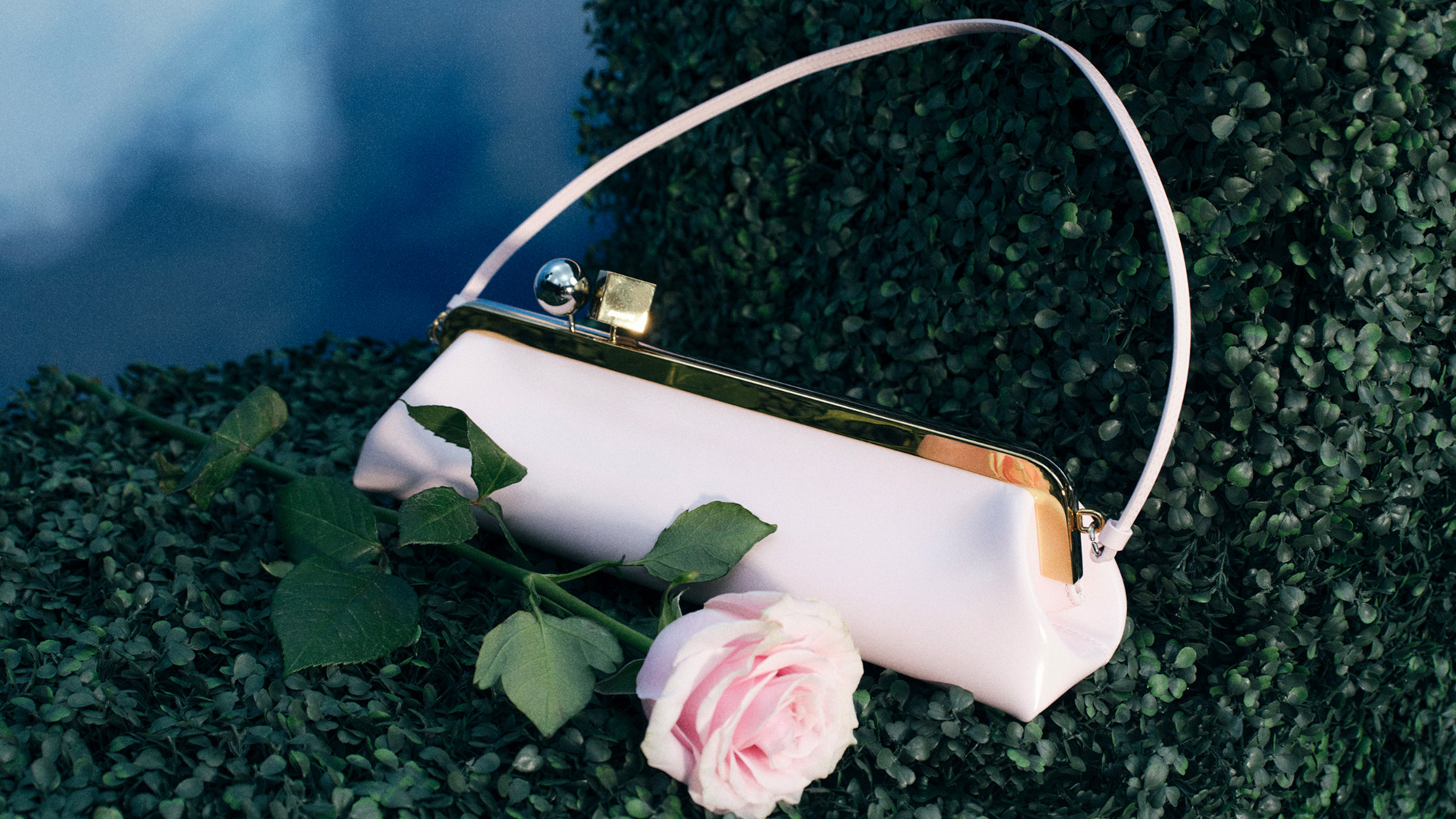 A pale pink purse with a metal clasp is placed on green foliage, accompanied by a pink rose, set against a blue sky background.