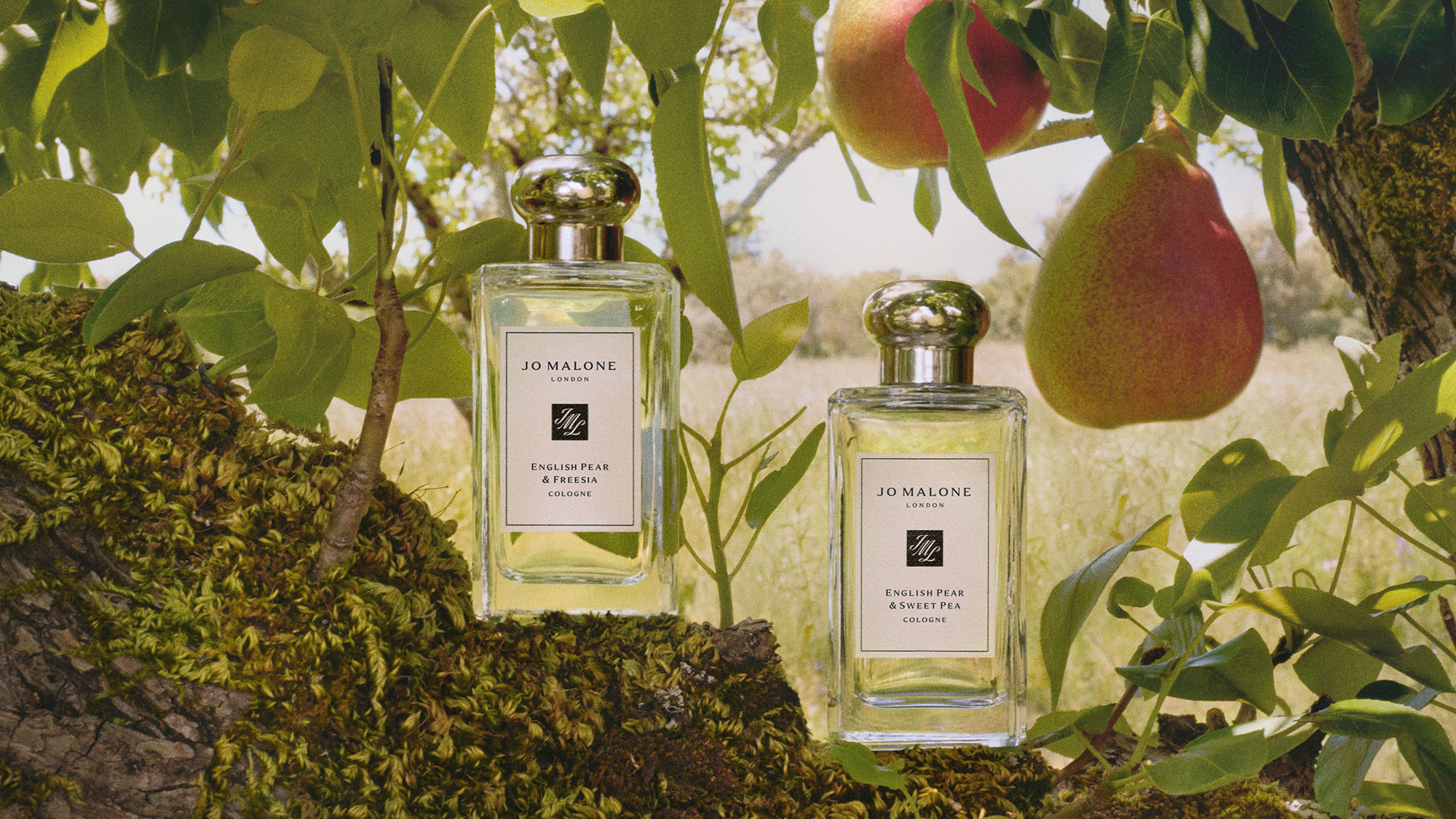 Two Jo Malone London perfume bottles are placed on a mossy tree branch with pears hanging nearby, evoking a natural and fresh ambiance.