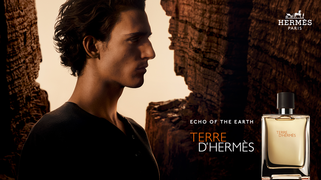 A man in profile stands beside a perfume bottle. The text reads 'Echo of the Earth, Terre d'Hermès,' with a rocky background.