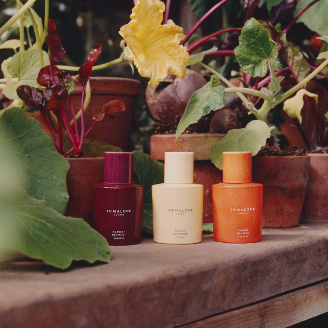 Three Jo Malone London cologne bottles in burgundy, cream, and coral hues among terracotta plant pots with red and yellow flowers