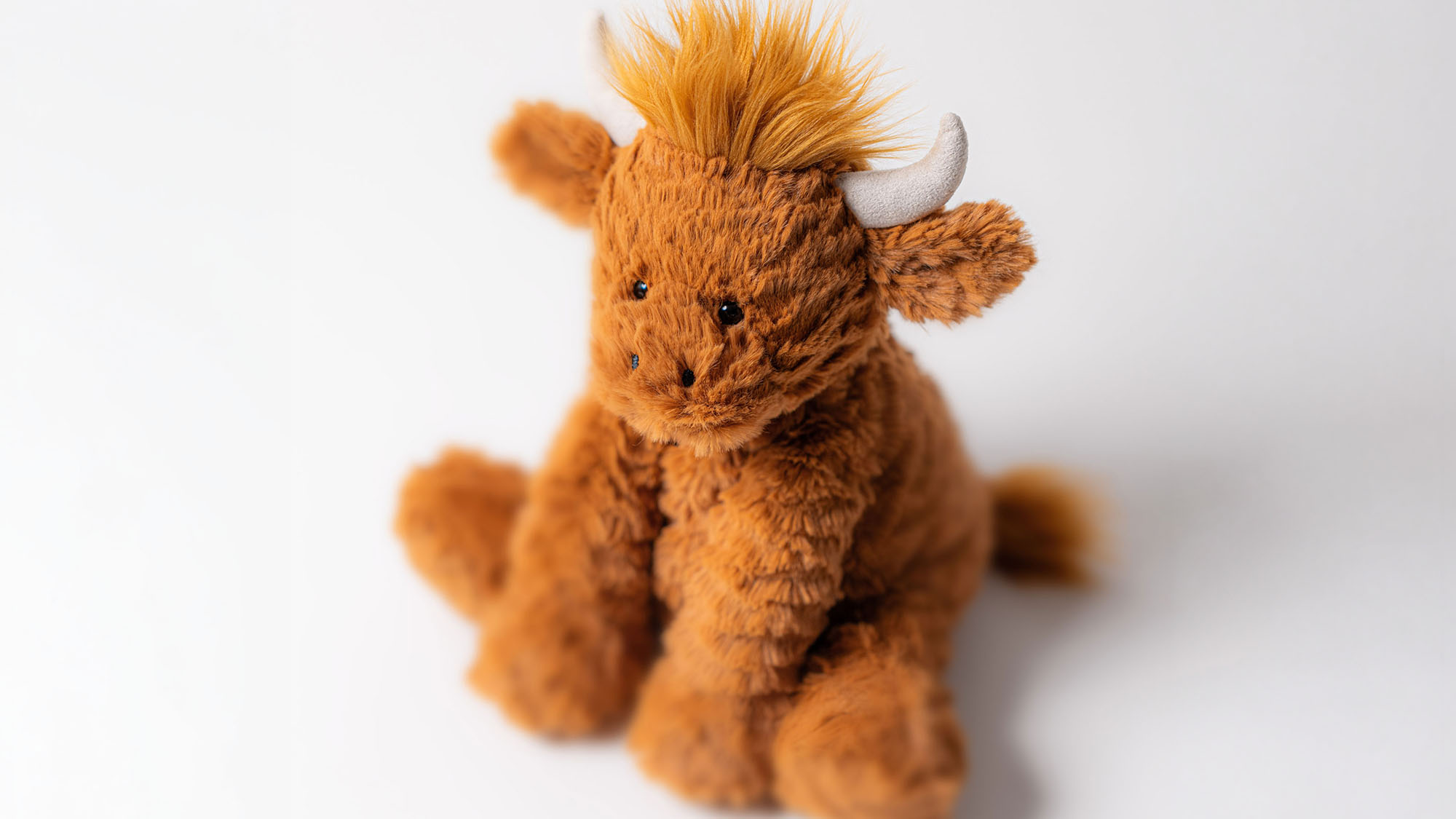 Soft golden-brown Jellycat plush toy Highland cow with horns and fluffy texture against white background