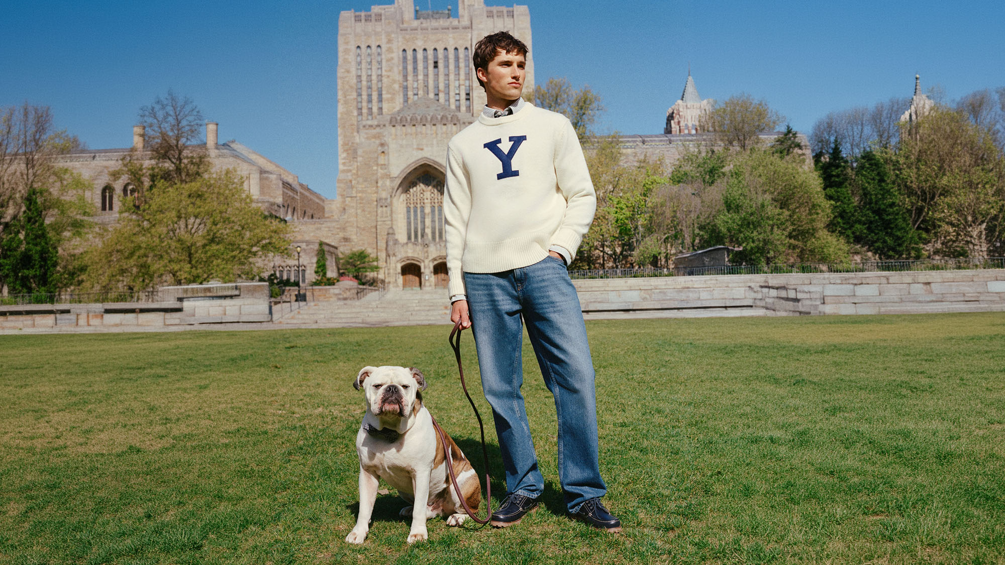 Man wearing cream sweater with navy Y logo and blue jeans standing with bulldog on grass in front of university buildings