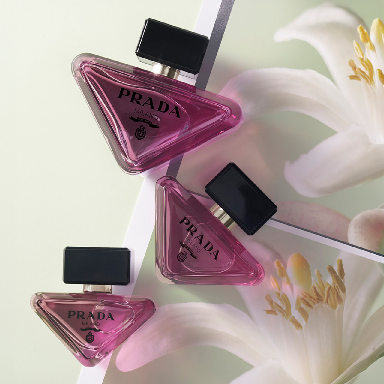 Three Prada Paradoxe fragrance bottles in pink-purple with black caps displayed with white lilies