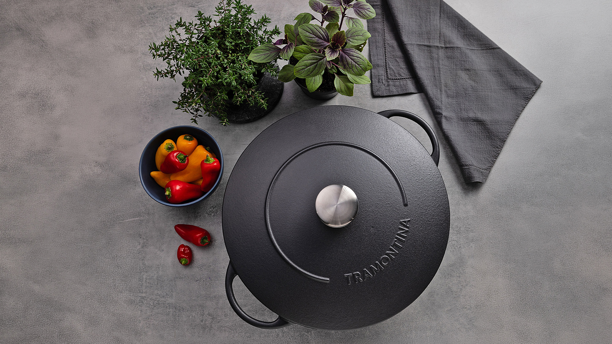 Black cast iron casserole dish with lid and stainless steel handle on grey surface, surrounded by fresh vegetables and potted herbs