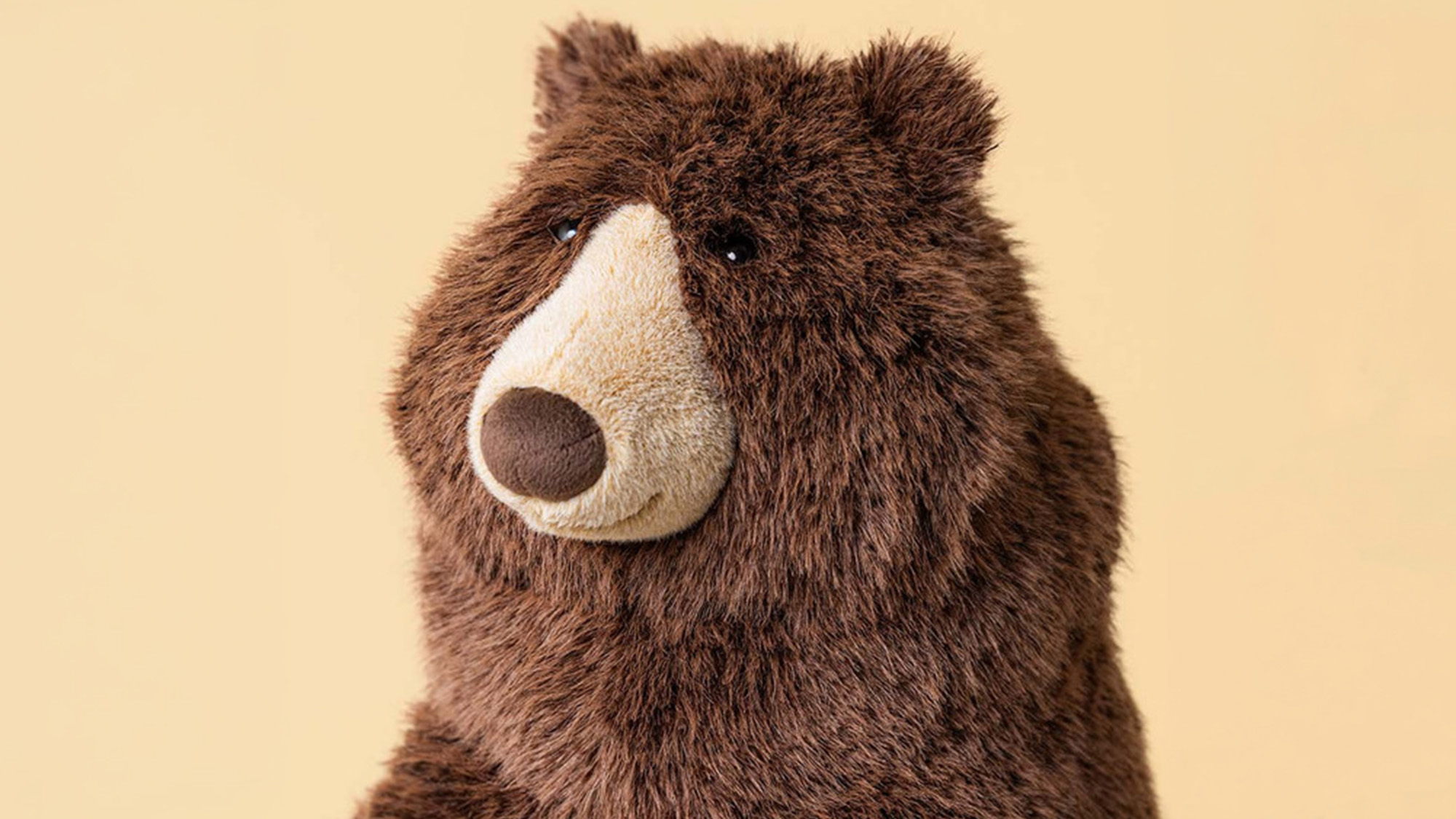 Brown plush bear toy with cream-coloured face against cream background