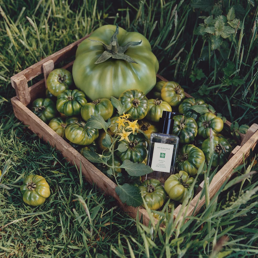 Jo Malone London Tomato fragrance bottle placed in wooden crate filled with green tomatoes and yellow flowers