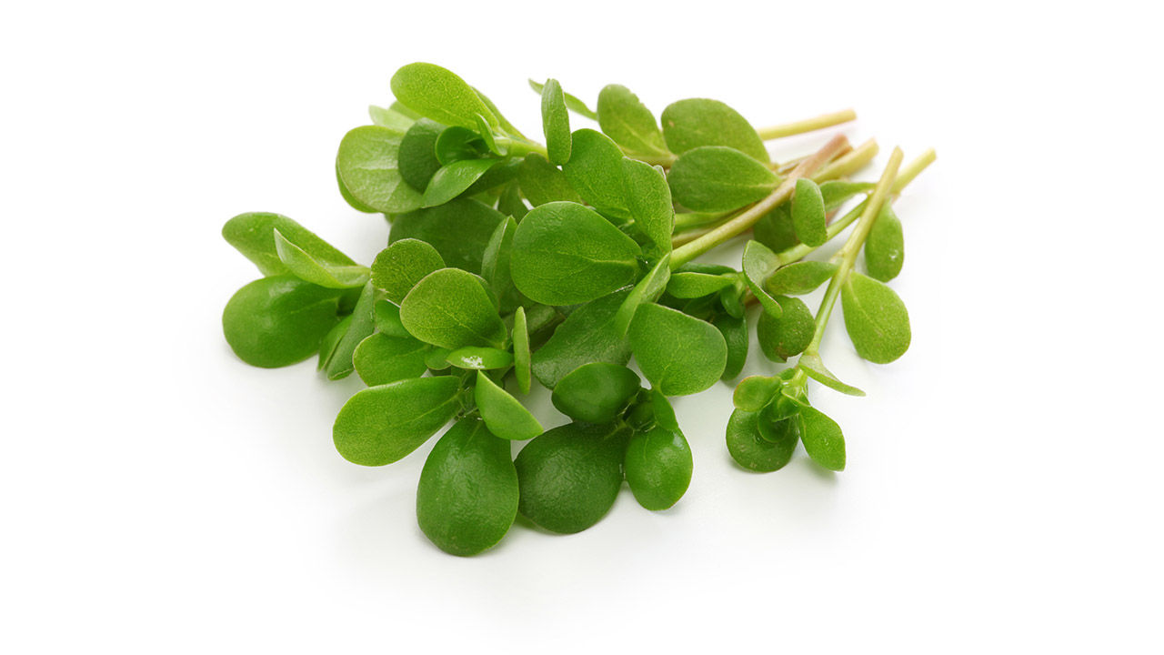 ingredient