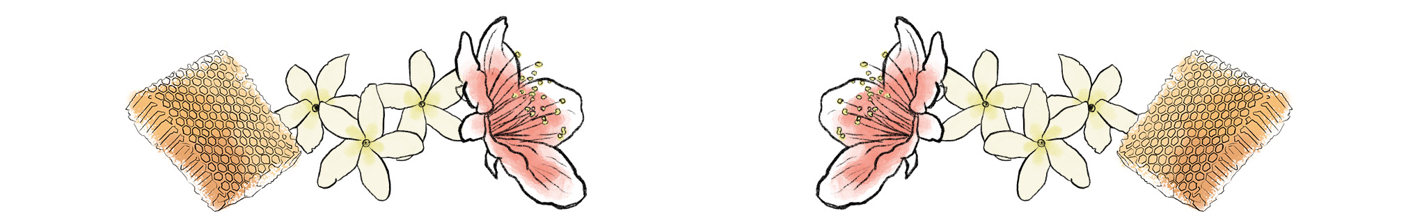 Floral and bee pattern with honeycomb, featuring pink flowers and repeating design.