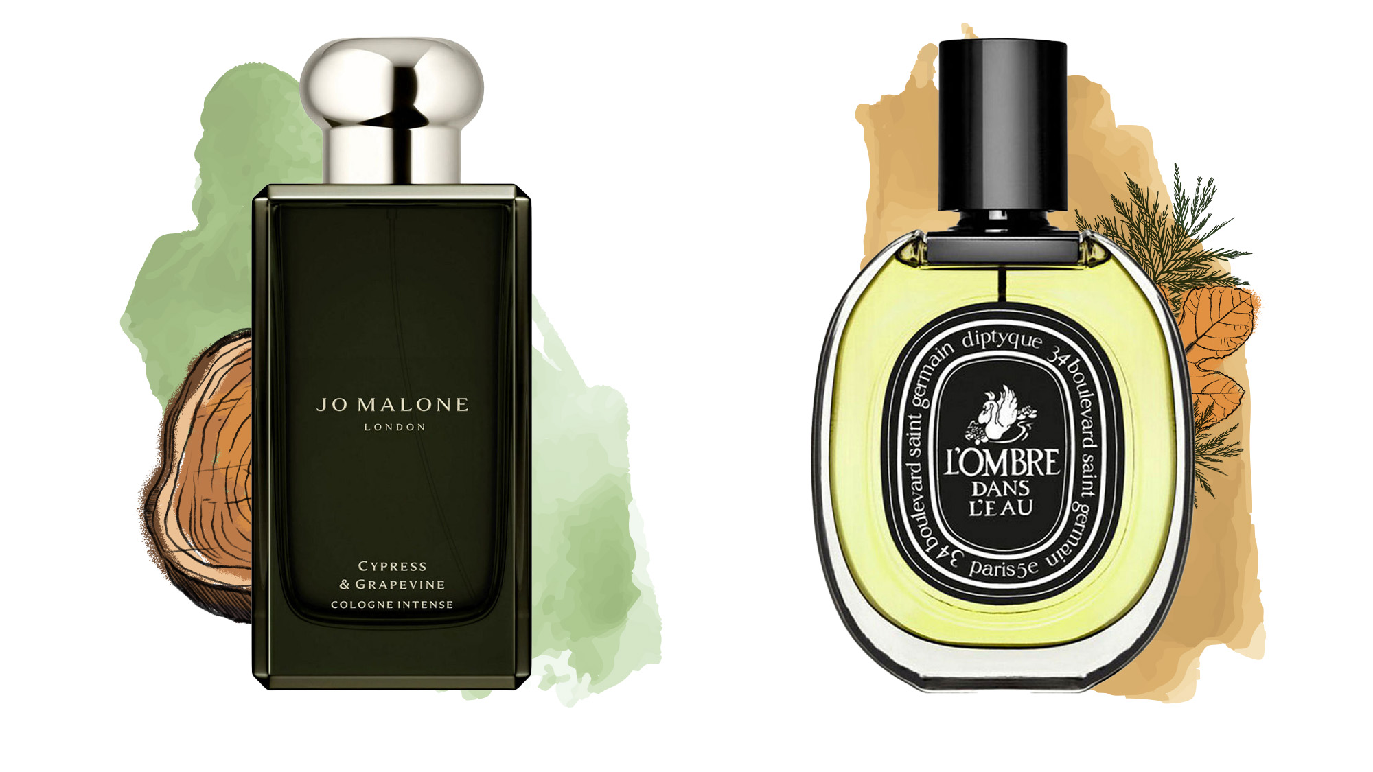 Two stylized tree cross-sections with pine needles and leaves on either side, mirrored.