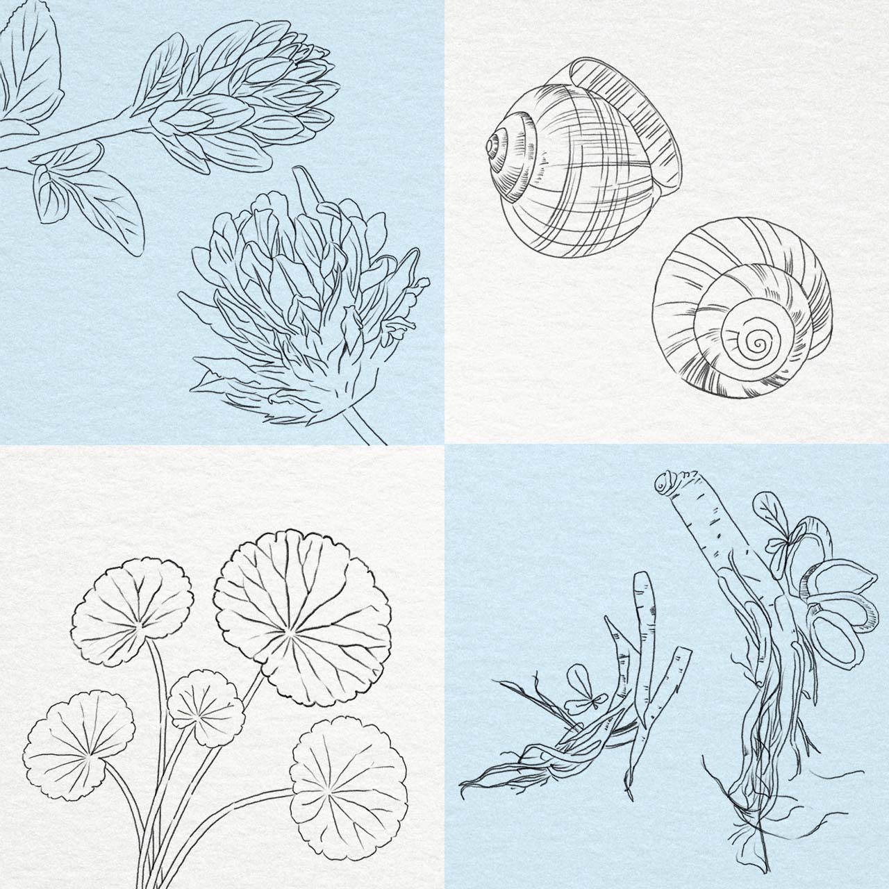 From aloe vera to snail mucin, this is what you need to know.