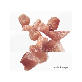 Twilly d&rsquo;Herm&egrave;s Eau Ginger Eau de Parfum 85 ml