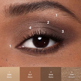 Curator Eyeshadow