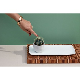 Jasper Conran 100% Recycled Mini Pot in white, styled with a small cactus on a wooden board, with model's hand pointing toward it