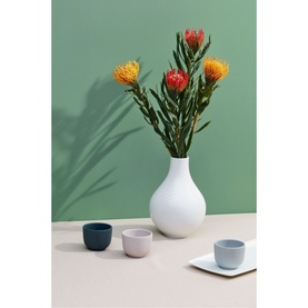 Jasper Conran 100% Recycled Mini Pots in multi, shown in navy, pink and grey beside a white vase with protea flowers on a neutral surface