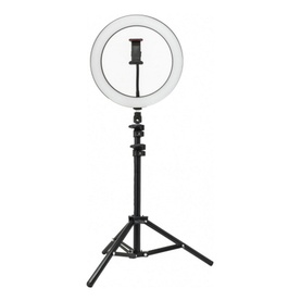 Content Creator Large 26cm Dimmable LED Ring Light with Phone Holder Tripod