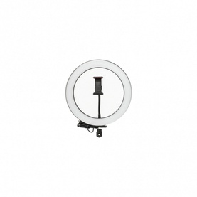 Content Creator Large 26cm Dimmable LED Ring Light with Phone Holder Tripod