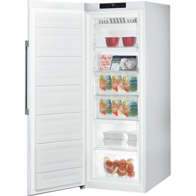 Frost Free Tall Freezer