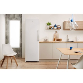 Frost Free Tall Freezer