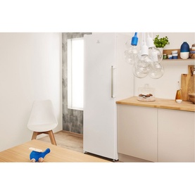 Frost Free Tall Freezer