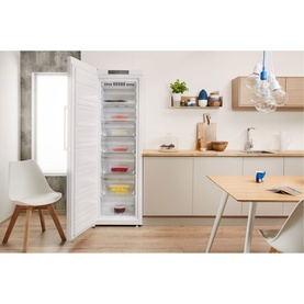 Frost Free Tall Freezer