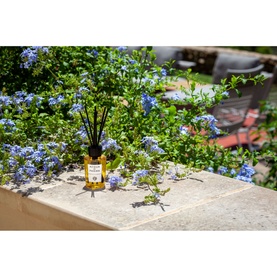Aperitivo in Terrazza Room Diffuser