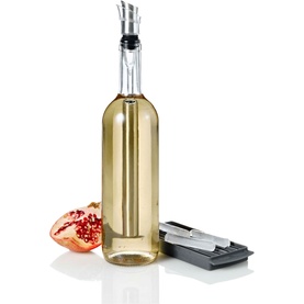 AdHoc Icepour Cooling Stick Pourer inserted in white wine bottle, with ice tray and pomegranate alongside