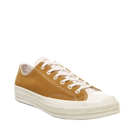 All Star Chuck 70 Renew Trainers