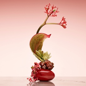 Armani Beauty Rouge Malachite Eau de Parfum lifestyle shot featuring a red vase with sculptural botanical arrangement of succulents, red berries