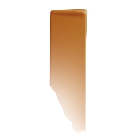 NEO NUDE Glow Foundation