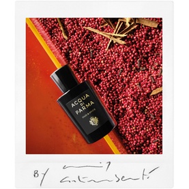 Signatures of the Sun Oud and Spice Eau de Parfum