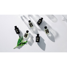 Signatures of the Sun Oud and Spice Eau de Parfum