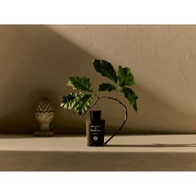 Signatures of the Sun Quercia Eau de Parfum