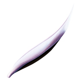 Eyes To Kill Designer Eyeliner