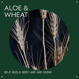 Volumizing Tonic 100ml