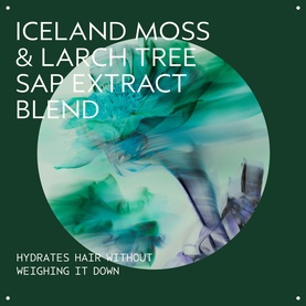 Sap Moss Weightless Hydration Shampoo