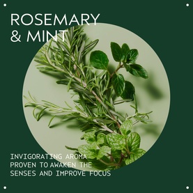 Rosemary Mint Bath Bar