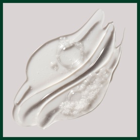 Rosemary Mint Purifying Shampoo