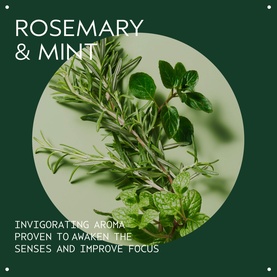 Rosemary Mint Purifying Shampoo