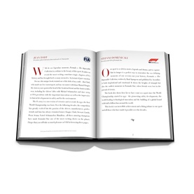 Formula 1: The Impossible Collection