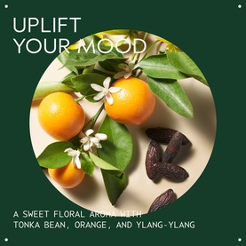 Leave In Conditioner Treatment