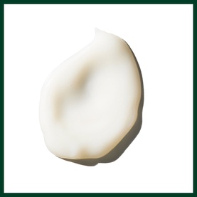 Leave In Conditioner Treatment