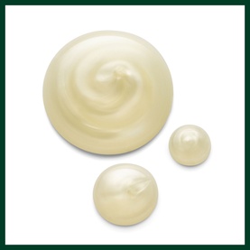 Rosemary Mint Hand and Body Wash