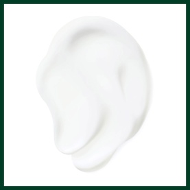 AVEDA Nutriplenish Daily Moisturizing Treatment white cream texture swatch showing rich, smooth consistency