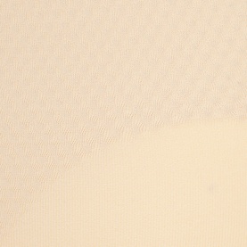 Beyond Naked Thigh Slimmer Shorts