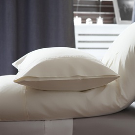 Premium 500 Thread Count Oxford Pillowcase Ivory