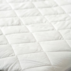 Anti-Bacterial Waterproof Mattress Protector