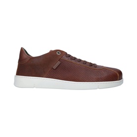 Bushtail Trainers