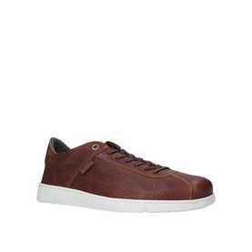 Bushtail Trainers